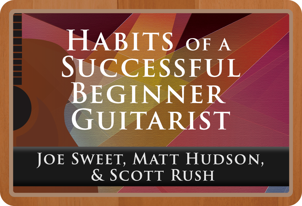 Habits of a Successful Beginner Guitarist - Digital Book Access Page
